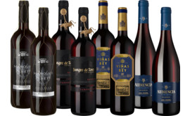 Entdecker Paket "Spaniens Reservas"