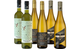 Grüner Veltliner Entdeckerpaket