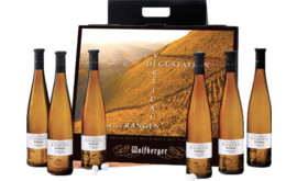 Wolfberger Verkostungsset Pinot Gris Grand Cru