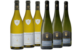 Entdeckerpaket Sauvignon Blancs der Loire