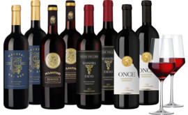 Probierpaket Best of Primitivo
