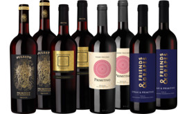 Probierpaket Best of Primitivo