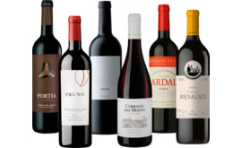 Entdeckerpaket Ribera del Duero
