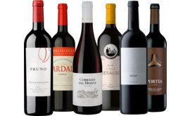 Entdeckerpaket Ribera del Duero