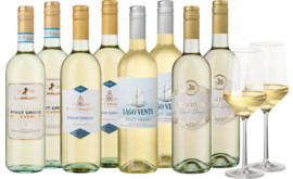 Weinpaket "Frischer Pinot Grigo"
