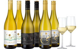 Weinpaket Grauburgunder Highlights