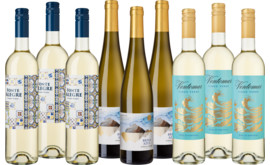 Genießerpaket Portugals fabelhafte Vinho Verde