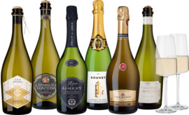 Hawesko's Finest Schaumwein-Paket