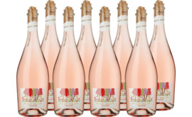 Vorteilspaket Punti Ponti Rosato Tulpiano