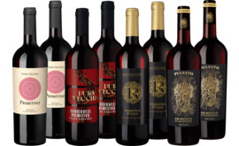 Probierpaket Best of Primitivo