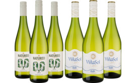 Alkoholfreies Vorteilspaket "Torres"