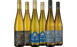 Entdeckerpaket "Grüner Veltliner"