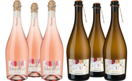Erfrischendes Punti Ponti-Paket