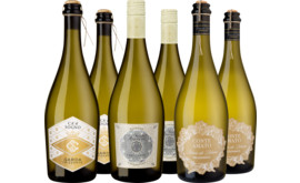Mixpaket "Frische Frizzante"