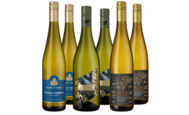Weinpaket "Grüner Veltliner Alte Reben"