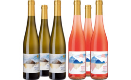 Probierpaket "Brisa Azul Premium Vinho Verde