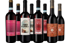 Entdeckerpaket "Fantastische Nero d'Avola