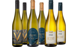 Goldprämierte Weißwein-Highlights