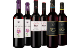 Entdeckerpaket "Merlot Pays d'Oc IGP"