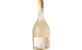 2023 Ulisse Frizzante Bianco