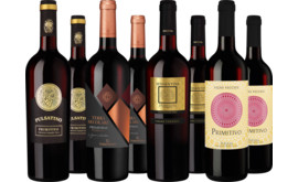 Probierpaket "Best of Primitivo"