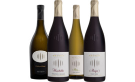 Podcast-Paket "Cantina Tramin"