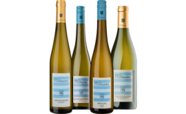 Podcast-Paket "Weingut Wittmann"