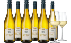 2024 Vorteilspaket "Corine de Loire Sauvignon Blanc"