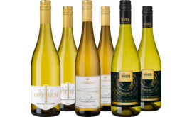 Goldprämierte Grauburgunder-Auswahl im Paket