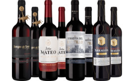 Prämiertes Rotweinpaket aus Spanien