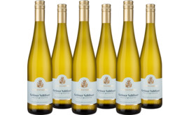 2024 Vorteilspaket "Schwanberg Grüner Veltliner"