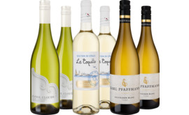 Entdeckerpaket "Sauvignon Blanc aus aller Welt"