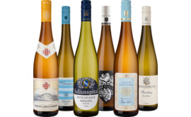 Selectionspaket Finest Riesling