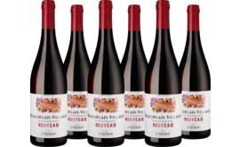 2025 Esprit de Terres Beaujolais Nouveau