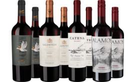 Probierpaket "Malbec aus Argentinien"