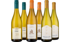 Entdeckerpaket "Frankreichs Sauvignon Blanc"