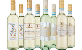 Entdeckerpaket "Frischer Pinot Grigio"