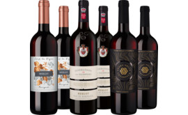 Probierpaket "Merlot-Vielfalt"