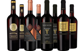 Probierpaket Best of Primitivo