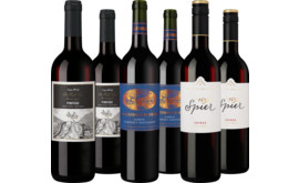 Probierpaket "Südafrikas Rotwein-Schätze"