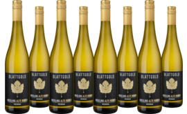 2025 Vorteilspaket Blattgold Riesling alte Reben