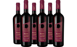 2021 Vorteilspaket Feudo Arancio Nero d'Avola Riserva