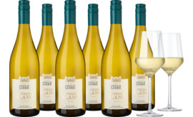 2024 Vorteilspaket Corine de Loire Sauvignon Blanc