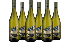 2024 Vorteilspaket "Pfaffl Grüner Veltliner Alte Reben"