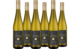 2024 Vorteilspaket Insignium Grüner Veltliner