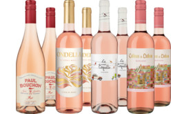Probierpaket Rosé-Highlights