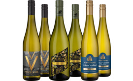 Probierpaket "Grüner Veltliner Alte Reben"