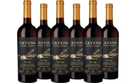 2022 Vorteilspaket "Catena Malbec Eterno"