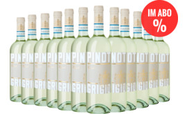 2025 Spar-Abo Cinolo Pinot Grigio