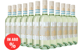 2025 Spar-Abo Cinolo Pinot Grigio